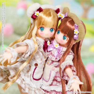 POD057-CTH Colorful Dreamin' /特玛丽～梦幻熊～蜂蜜版