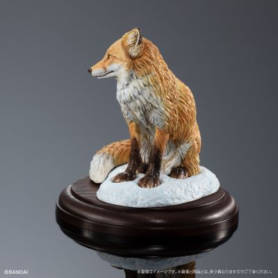 生物大图鉴 陈列模型系列 野生的犬科动物