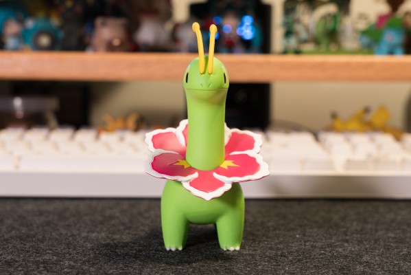 宝可梦比例世界 城都地区 大竺葵