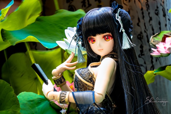 Dollfie Dream DD 白色相簿 森川由绮