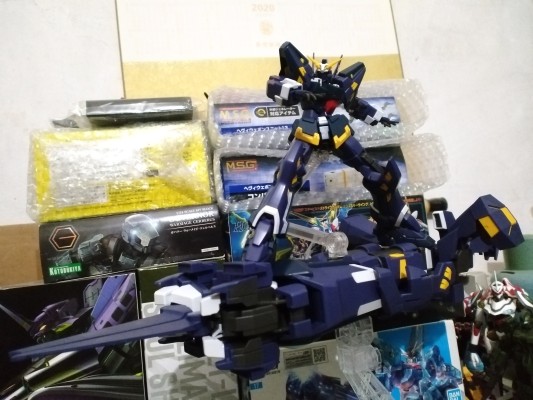 HG 凶鸟搏斗型