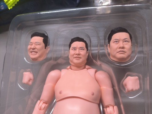 S.H.Figuarts 总而言之很开朗的安村