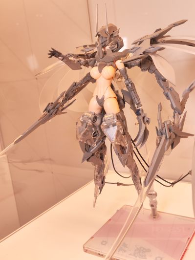 萝莎计划 星花·黑鸢尾