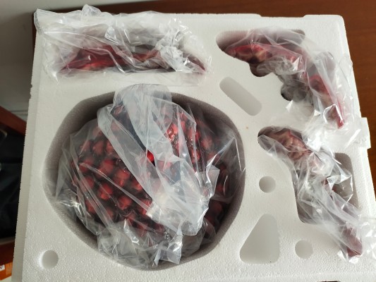 剑风传奇 费蒙特 The Wings of Darkness