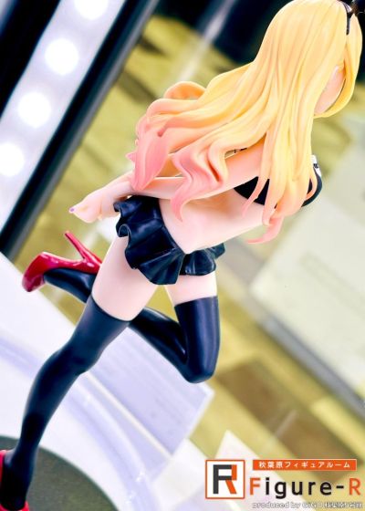 Celestial vivi 更衣人偶坠入爱河 动画版 喜多川海梦