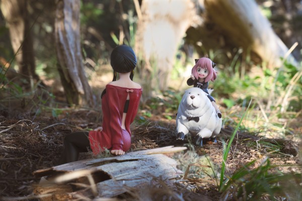 间谍过家家 阿尼亚 与 劳埃德