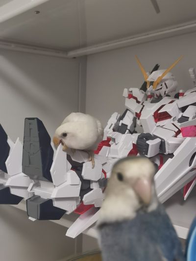 Mega Size 1/48 机动战士高达UC RX-0 独角兽高达 Ver. TWC