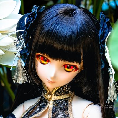 Dollfie Dream DD 白色相簿 森川由绮