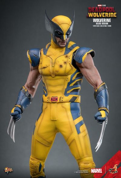 死侍与金刚狼 金刚狼