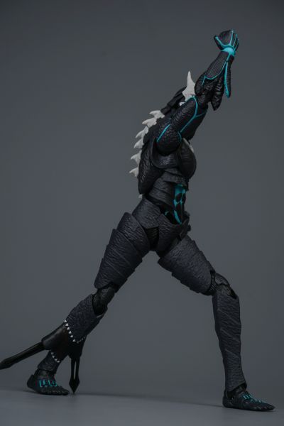 S.H.Figuarts 市川莱诺