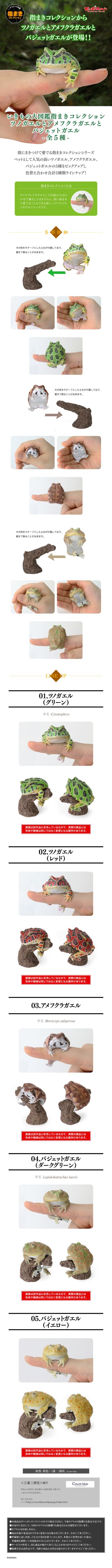 生物大图鉴 卷手指系列 角蛙+散疣短头蛙+圆眼珍珠蛙