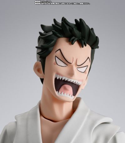 S.H.Figuarts   龙马