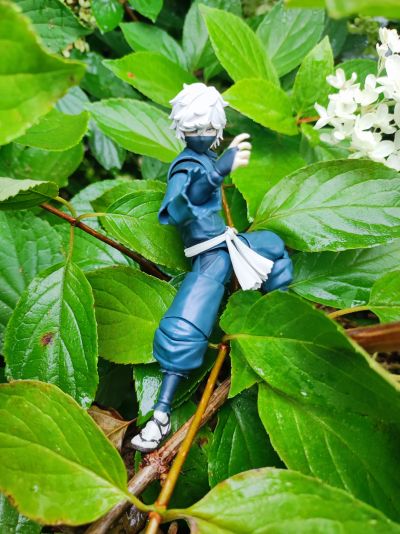 S.H.Figuarts 地狱乐 画眉丸