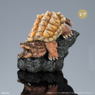 生物大图鉴 迷你系列 龟01