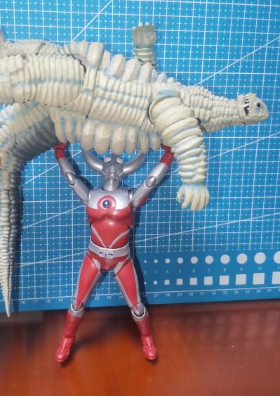 S.H.Figuarts  雷德王