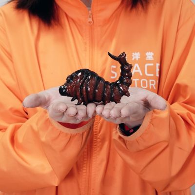 小摩斯拉（1992）软胶套件 复刻版