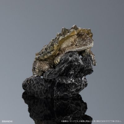 生物大图鉴 迷你系列 龟01