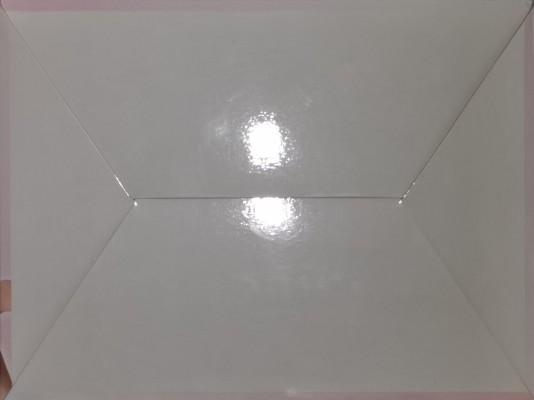 零之使魔 三美姬的轮舞 ねこみみルイズ