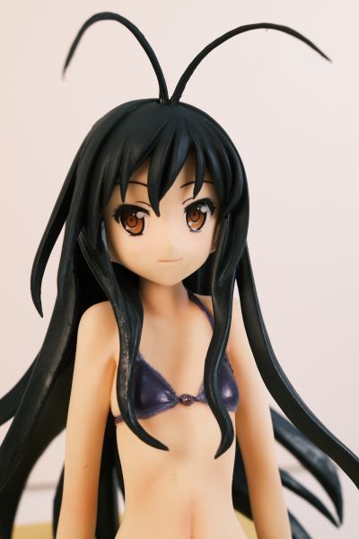 BEACH QUEENS 加速世界 黒雪姫 电撃スペシャルVer. 水着Ver.