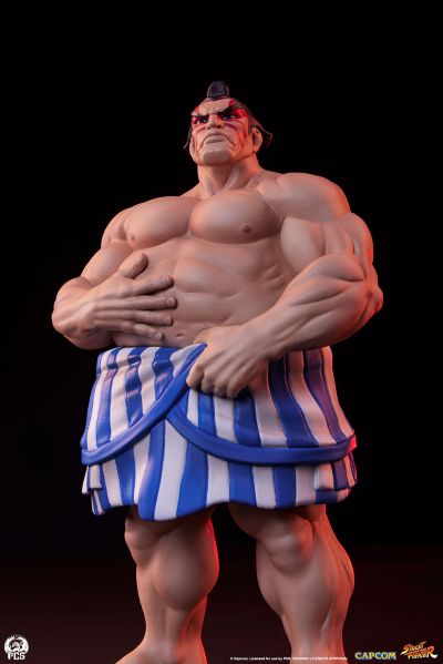 街霸 神月卡琳 与 本田