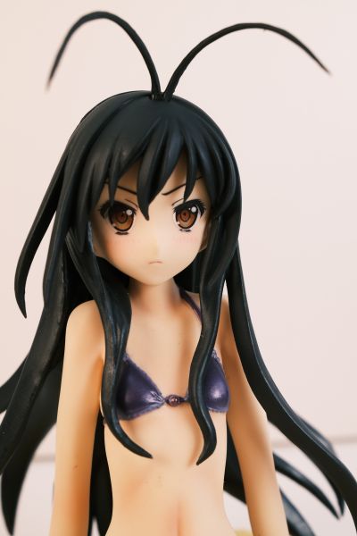 BEACH QUEENS 加速世界 黒雪姫 电撃スペシャルVer. 水着Ver.