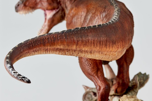 NATURE TALES 霸王龙