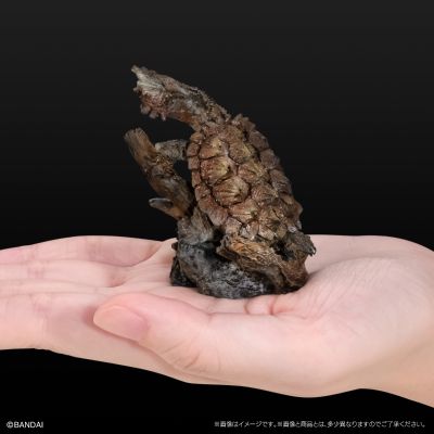 生物大图鉴 迷你系列 龟01