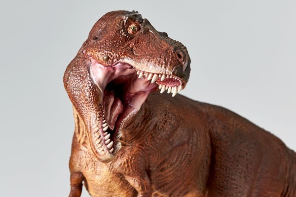 NATURE TALES 霸王龙