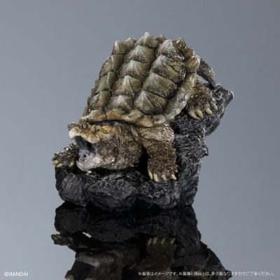 生物大图鉴 迷你系列 龟01