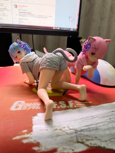 Desktop Cute Re:从零开始的异世界生活 雷姆~猫咪居家服~新装版