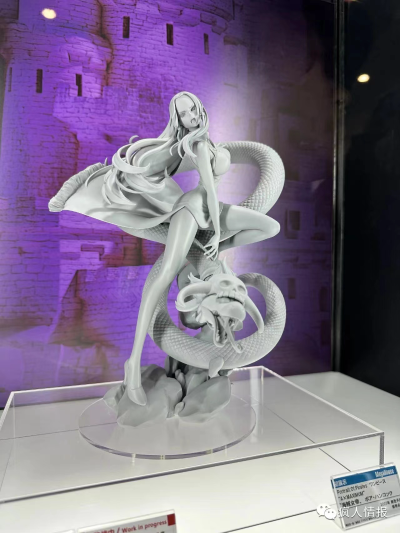 Portrait.Of.Pirates 航海王“A×MAXIMUM”“海盗女帝” 波雅·汉库克