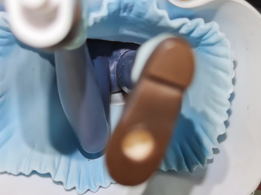 粘土人 #254 魔法少女奈叶 电影2 A的艺术 & 菲特·泰斯塔罗沙 私立圣祥大付属小学校制服