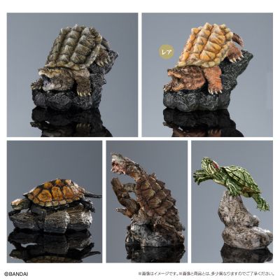 生物大图鉴 迷你系列 龟01