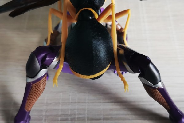 生物大图鉴 胡蜂