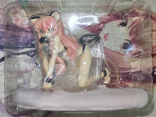 零之使魔 三美姬的轮舞 ねこみみルイズ