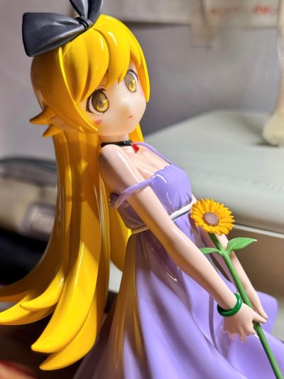 化物語 战场原黑仪 ウエダハジメVer.