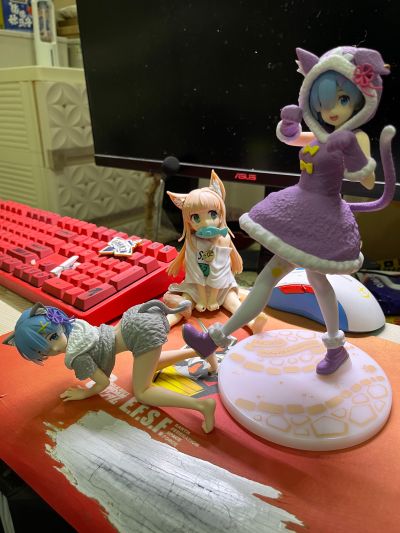 Desktop Cute Re:从零开始的异世界生活 雷姆~猫咪居家服~新装版