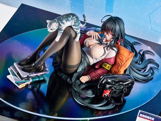 碧蓝航线 鹩（大凤） 放学后的甜蜜时光