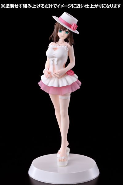 拼装女主角 命运-冠位指定 魔术师-夏洛特·科黛  [Summer Queens]