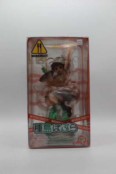 迷糊餐厅 种岛白杨