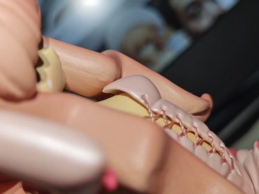 零之使魔 双月骑士 露易丝 通常版(黑Ver.)