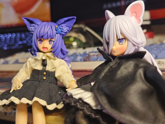 MMG011-KLL 耳朵花园博物志 克罗亚 浅紫色