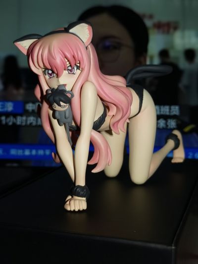 零之使魔 三美姬的轮舞 ねこみみルイズ