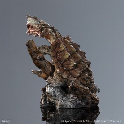 生物大图鉴 迷你系列 龟01