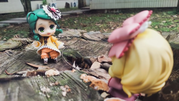 粘土人#2404 蔷薇少女 金丝雀