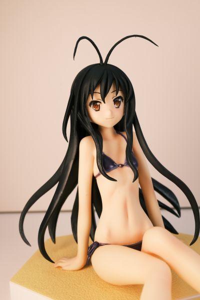 BEACH QUEENS 加速世界 黒雪姫 电撃スペシャルVer. 水着Ver.