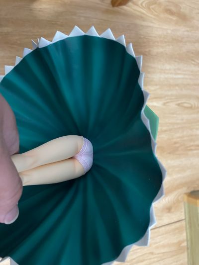 魔法少女奈叶StrikerS 夏玛尔＆ザフィーラ仔犬Ver.