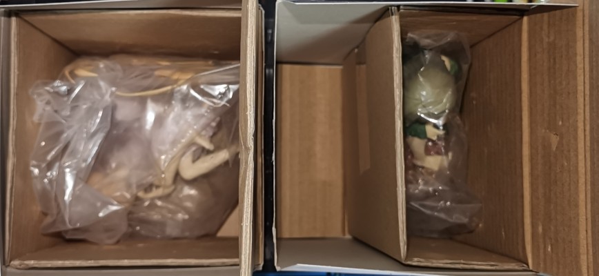 EXQ手办 偶像大师灰姑娘女孩 双叶杏 