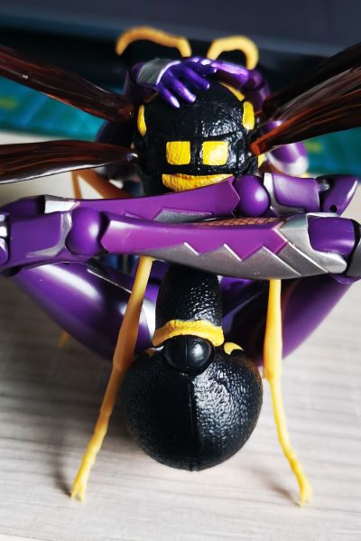 生物大图鉴 胡蜂