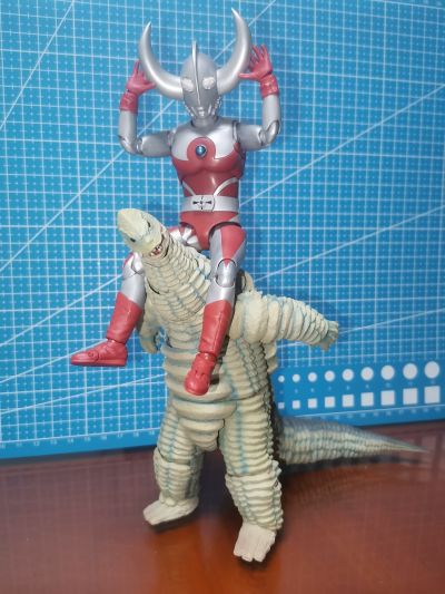 S.H.Figuarts  雷德王